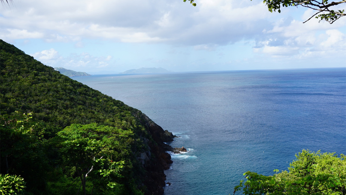 caribbean island guana views