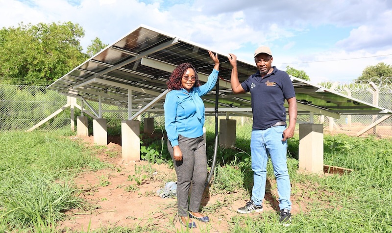 When rains fail, solar keeps the milk flowing in Nakaseke
