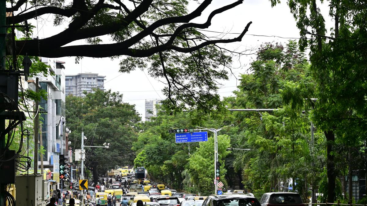 Why Bengaluru is India’s deadliest metropolitan city for deaths arising from civic negligence