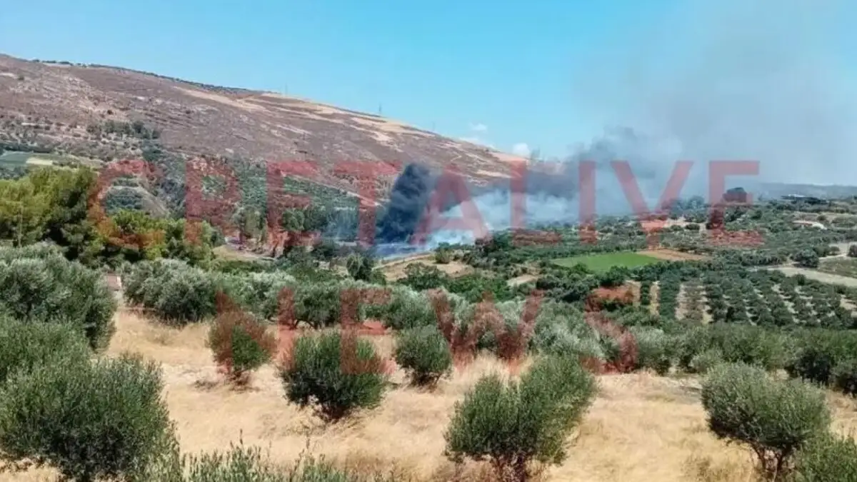 Wildfire in Knossos archaeological site led to temporary evacuation