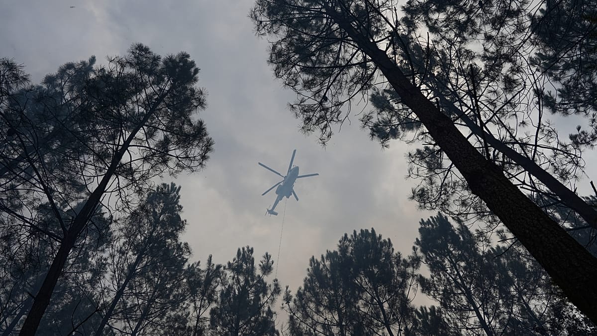 Wildfires: Var department once again facing the flames