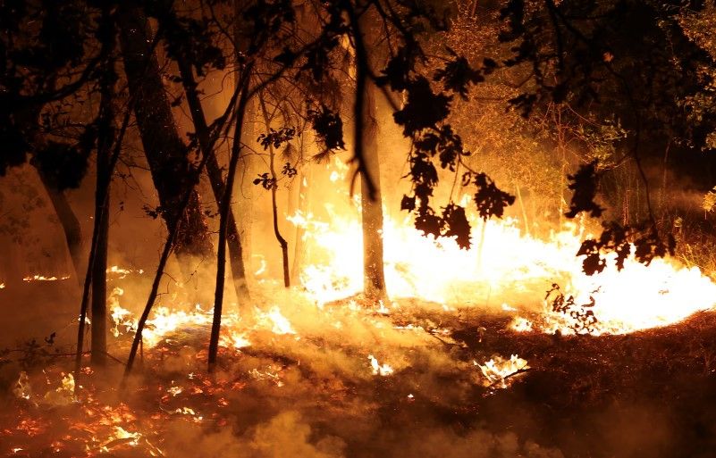 Wildfires in Portugal affect villages with inhabitants