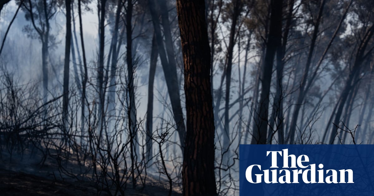 Wildfires in southern Spain kill 12 amid soaring temperatures | Spain