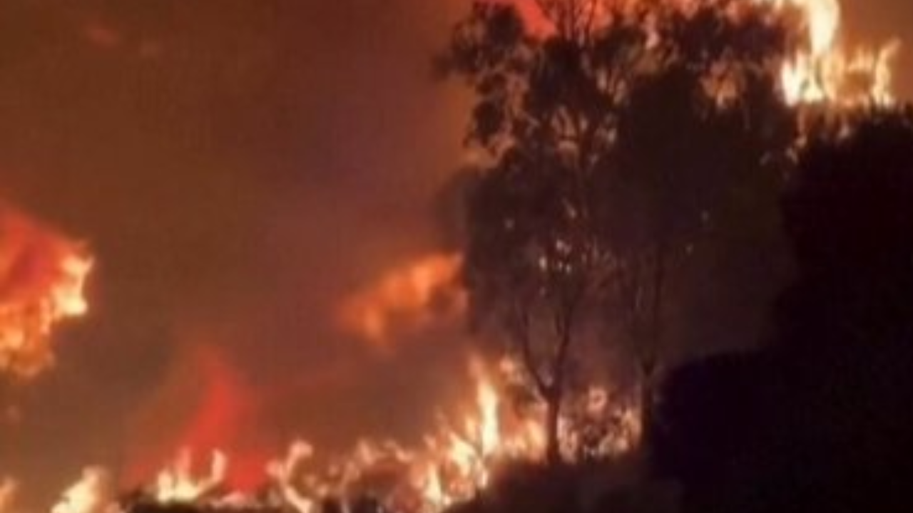 Wildfires sweep Sicily as Europe battles extreme heat and soaring fire risk