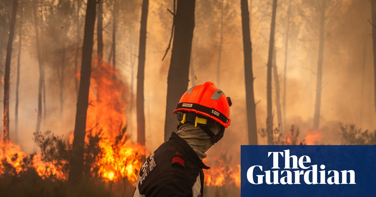 Will brutal wildfires force French leaders to take climate crisis seriously? | France