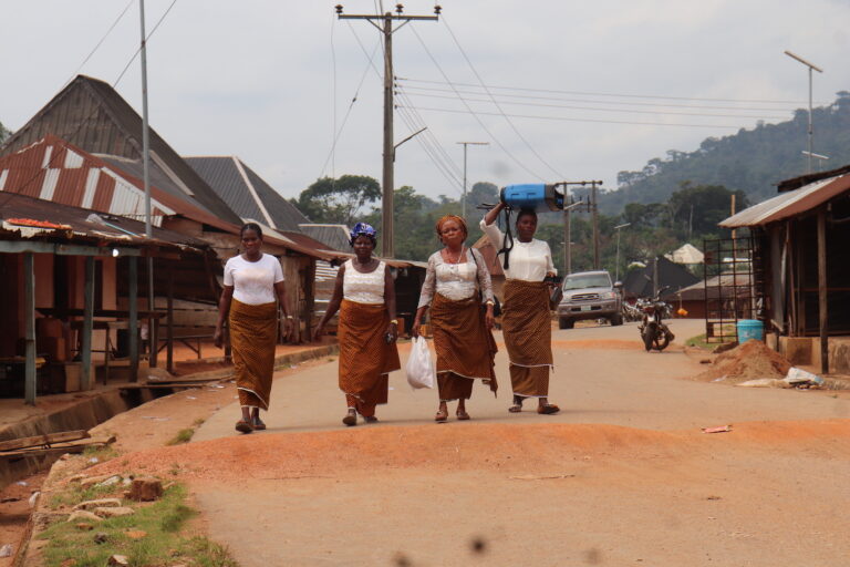 Women’s collectives are protecting Nigeria’s gorilla wildlife sanctuary