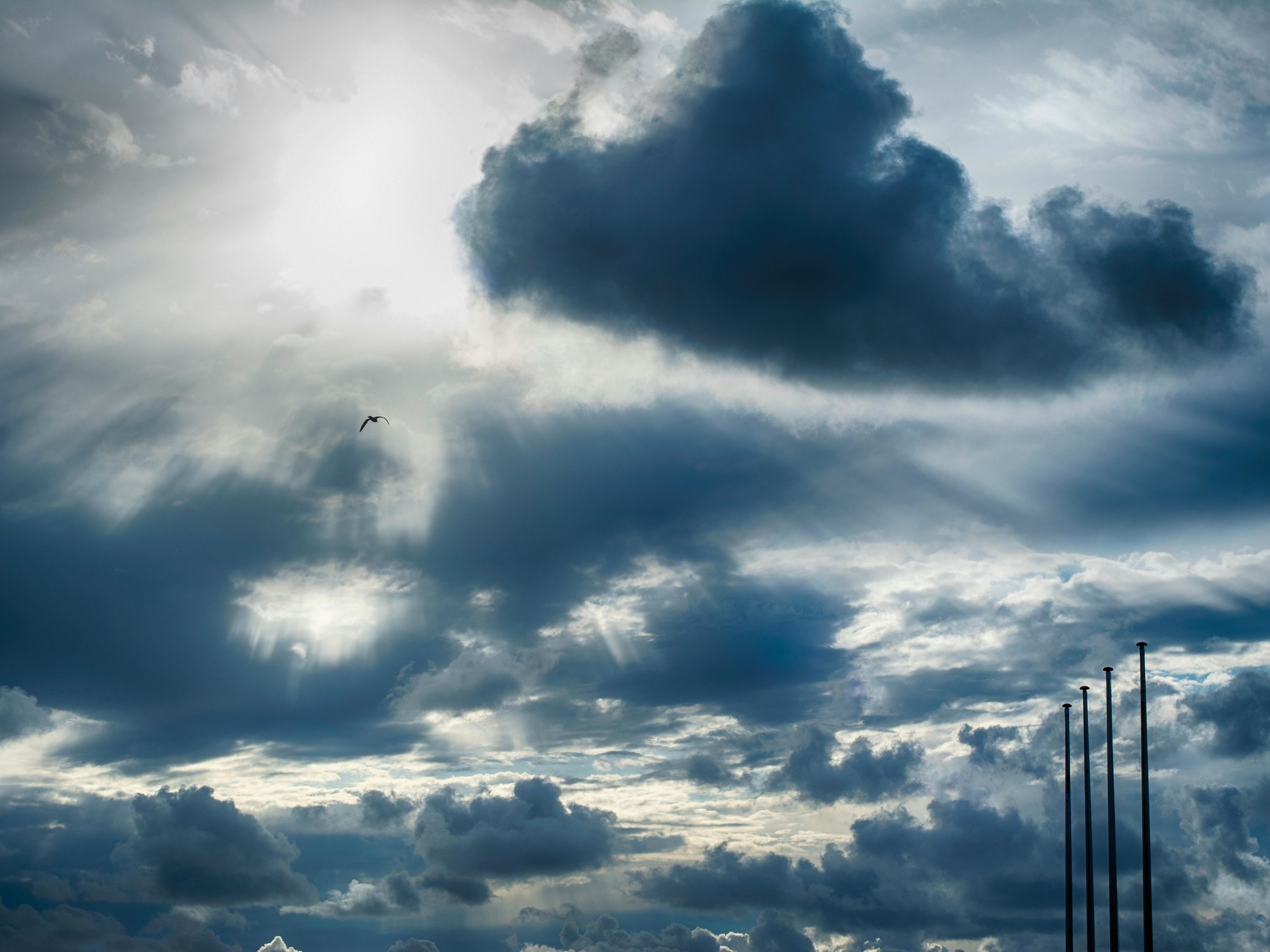 el pronóstico del tiempo para este viernes 24 julio de 2026
