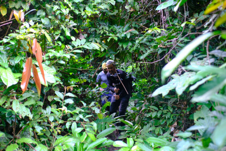 ‘Chasing Deforestation’ in Liberia: Behind the scenes with Mongabay