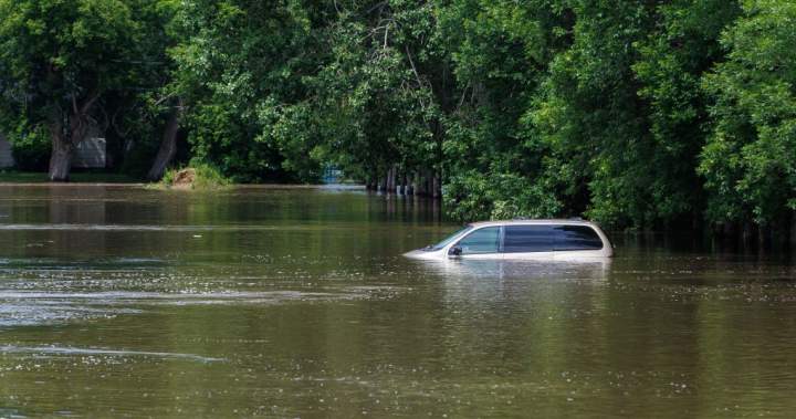 ‘Light at the end of the tunnel is very far away:’ mayor of flooded Manitoba town - Winnipeg