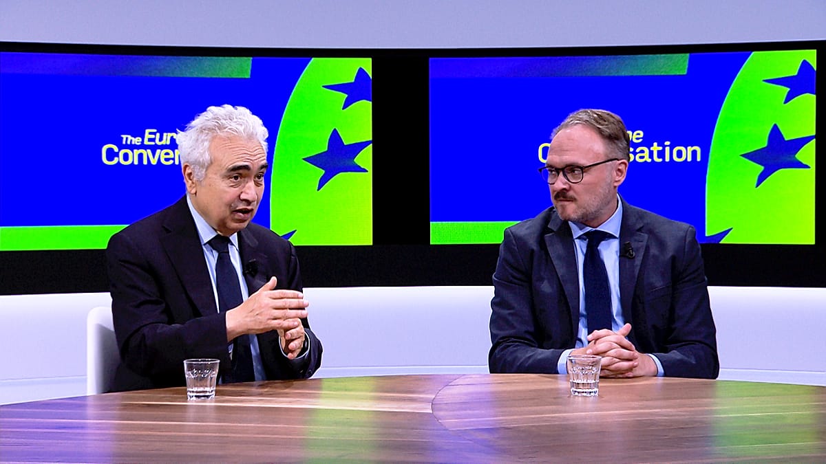 ‘More grids, more electricity, less fossil fuels,’ energy leaders tell Euronews