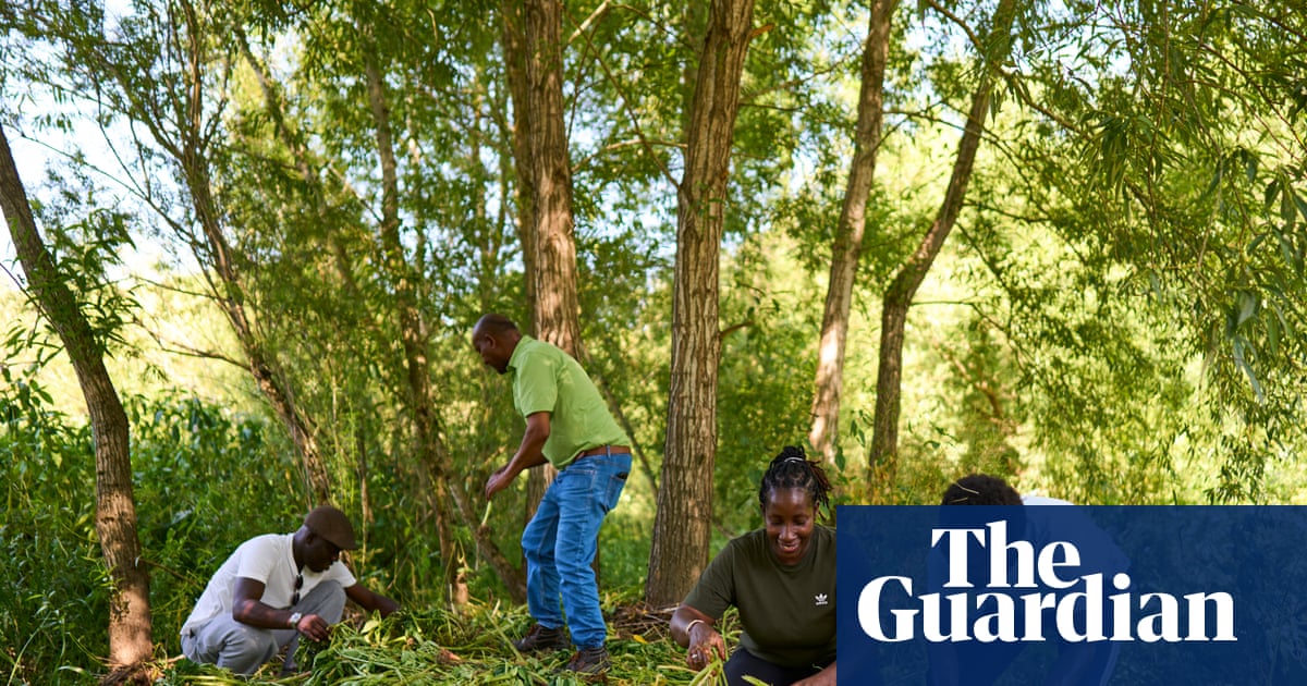 ‘We plant belonging’: how nature charities and asylum seekers work together in UK countryside | Immigration and asylum
