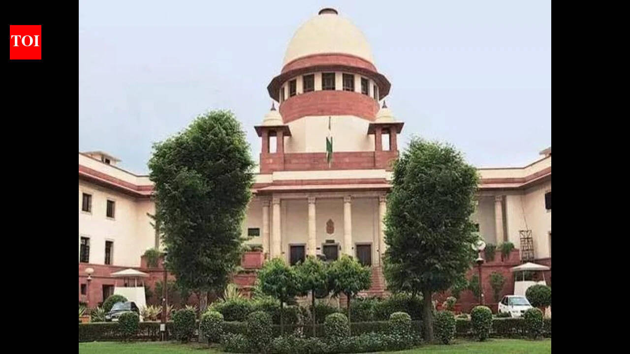 14 of 28 CMs face serious criminal cases, SC told | India News
