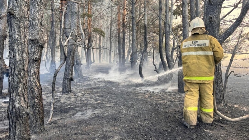 47 forest fires occur in Kazakhstan in a week