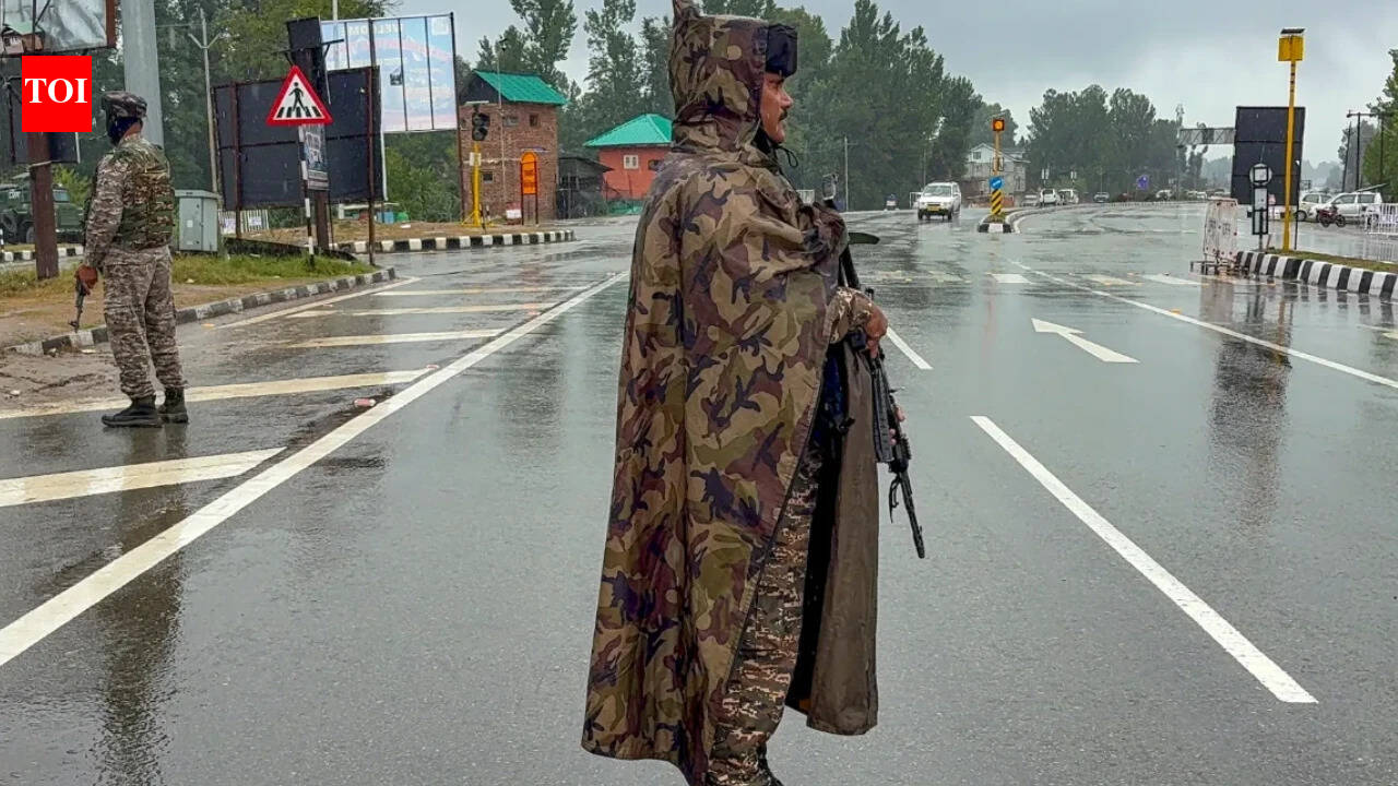 8 terror suspects held in Kashmir; arms-ammo, posters seized | India News