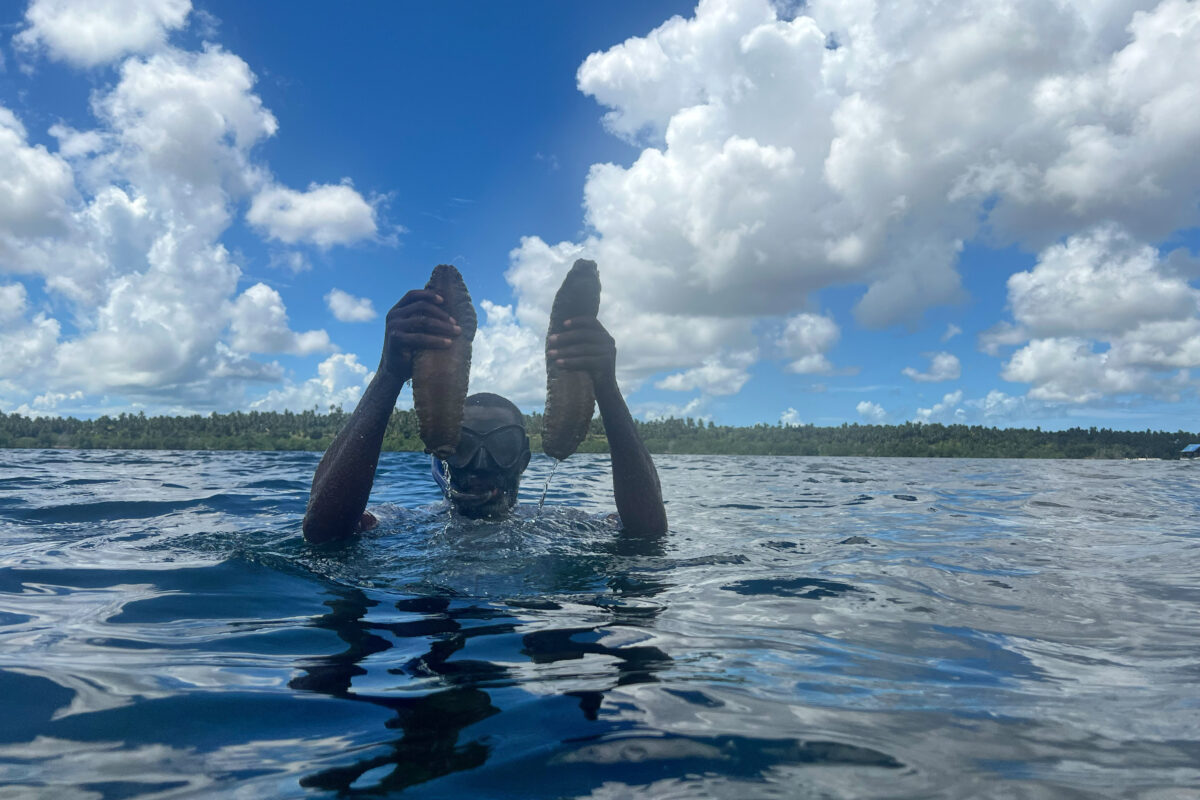 Sea cucumbers are harvested beyond Pemba Island in Tanzania. Here, a sea cucumber rancher displays part of his harvest from a ranch on Mafia Island. Image by Ashoka Mukpo/Mongabay.
