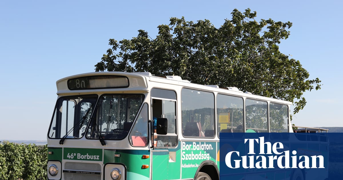 A slow, boozy bus tour of Hungary’s secret vineyards | Travel