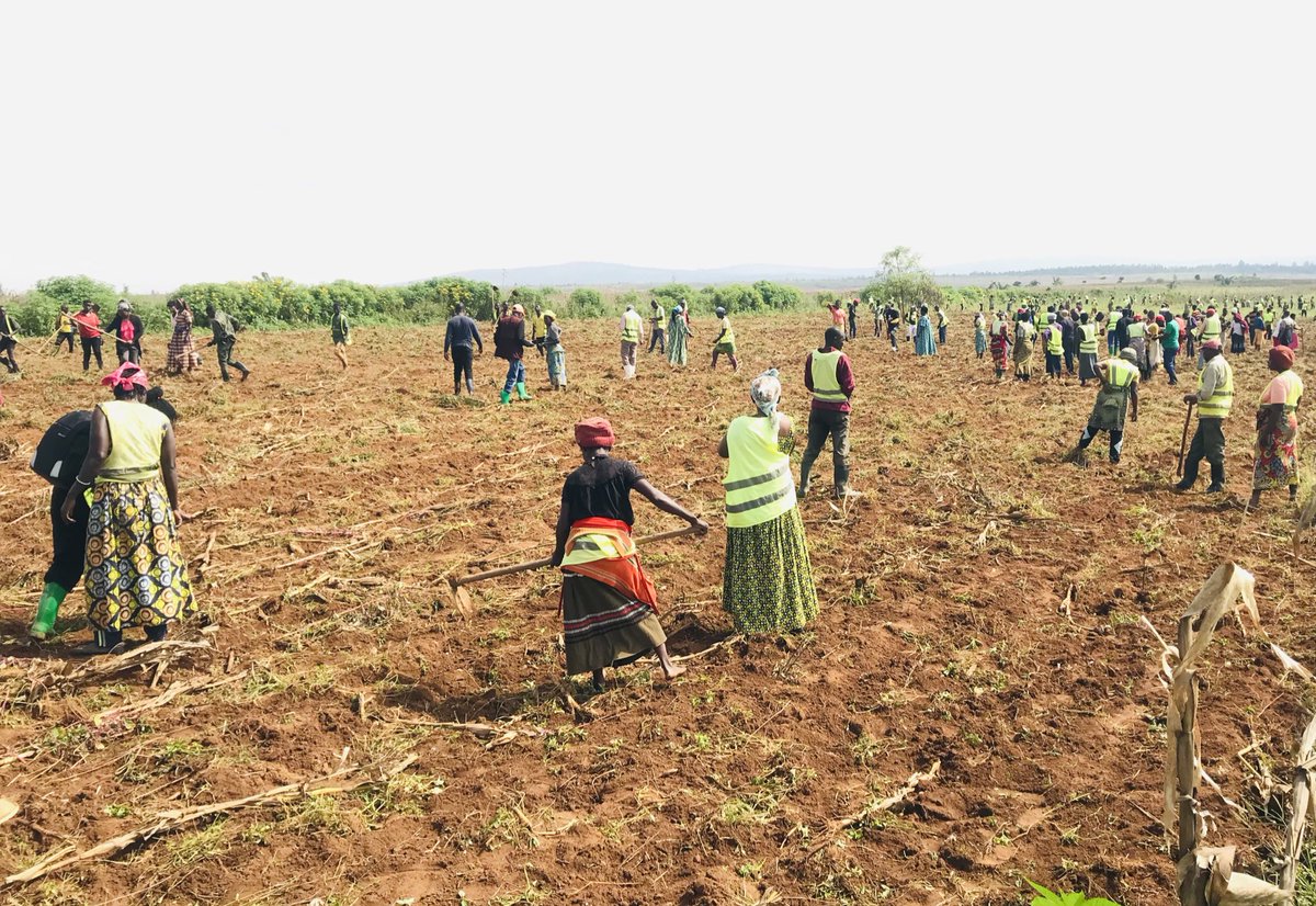 AfDB Plans $400m New Funding for Agriculture in Rwanda