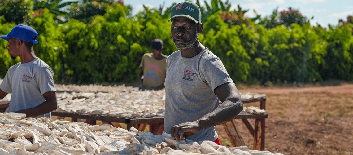 Africa's food market to hit USD 1 trillion by 2030.