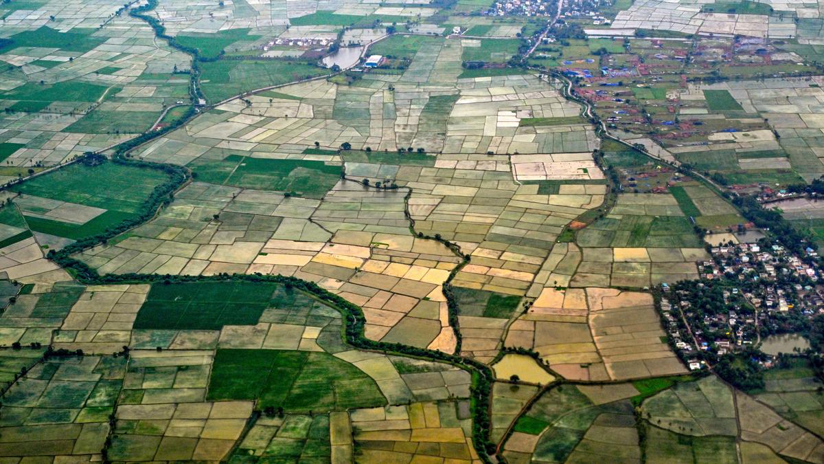 Andhra Pradesh adopts four-pronged strategy to support agriculture amid 51% rainfall deficit