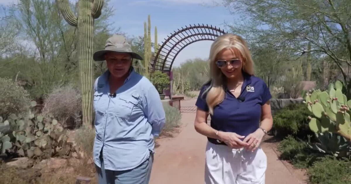 Arizona summers are hot, but the right landscaping can help beat the heat