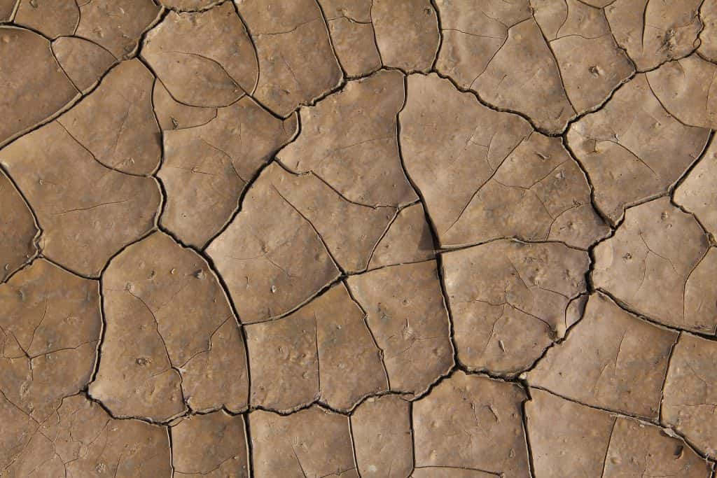 Armstrong Declares Statewide Fire Emergency as Drought Intensifies