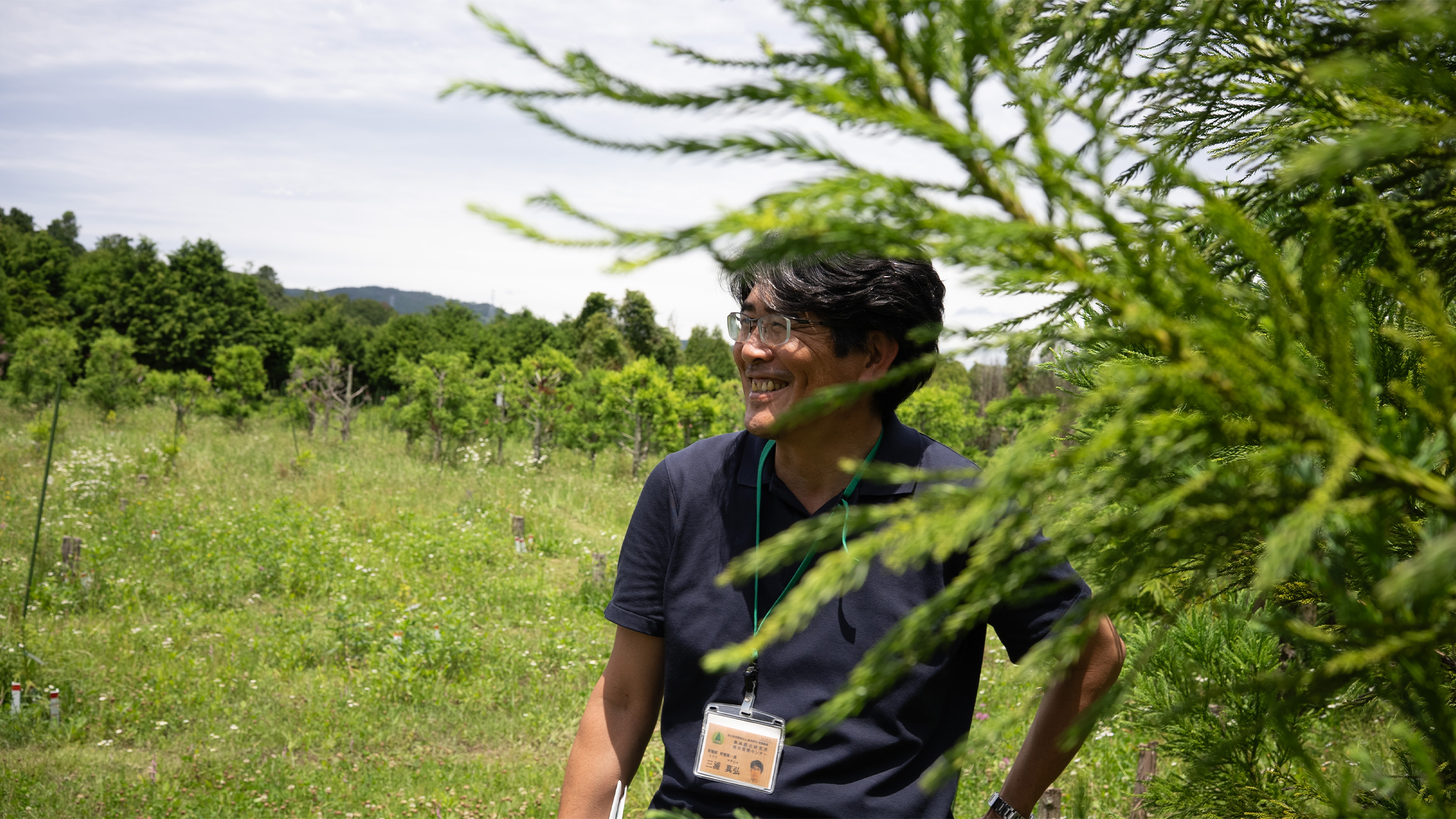 As hay fever sufferers grow in Japan, the country is looking to plant no-pollen trees