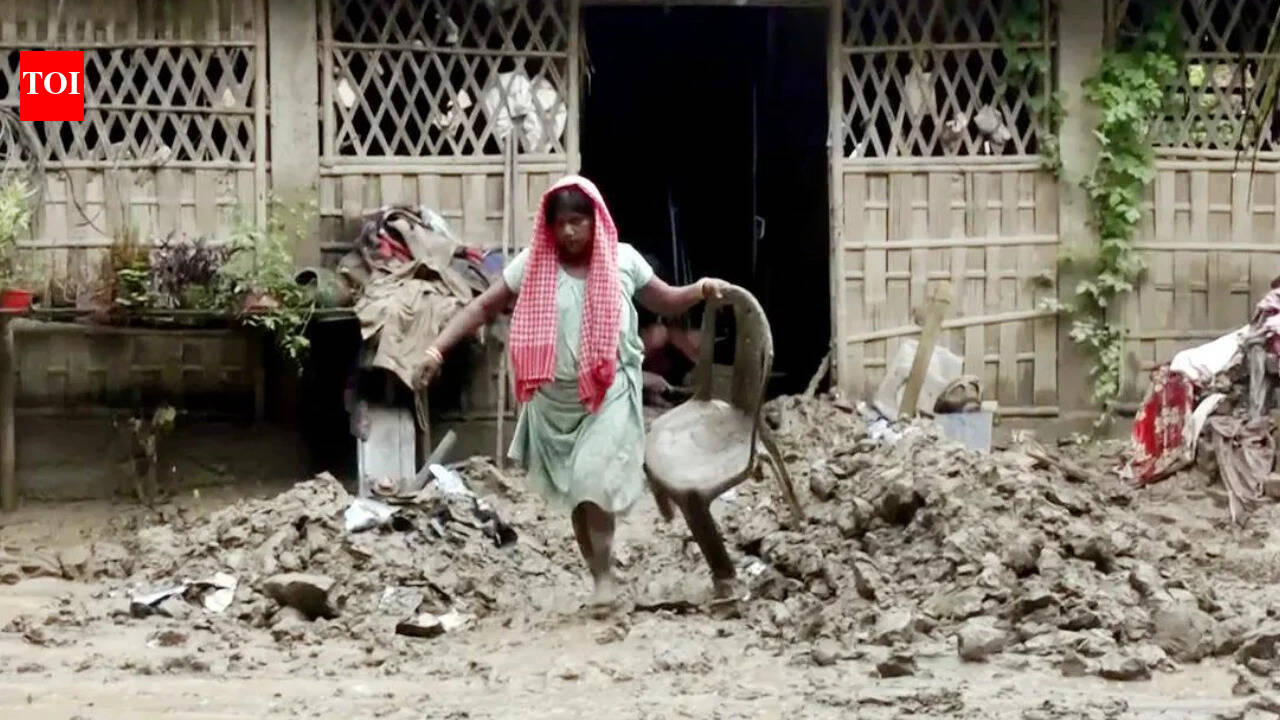 Assam floods: 82 dead, 1.78 lakh affected as relief efforts intensify - key points | India News