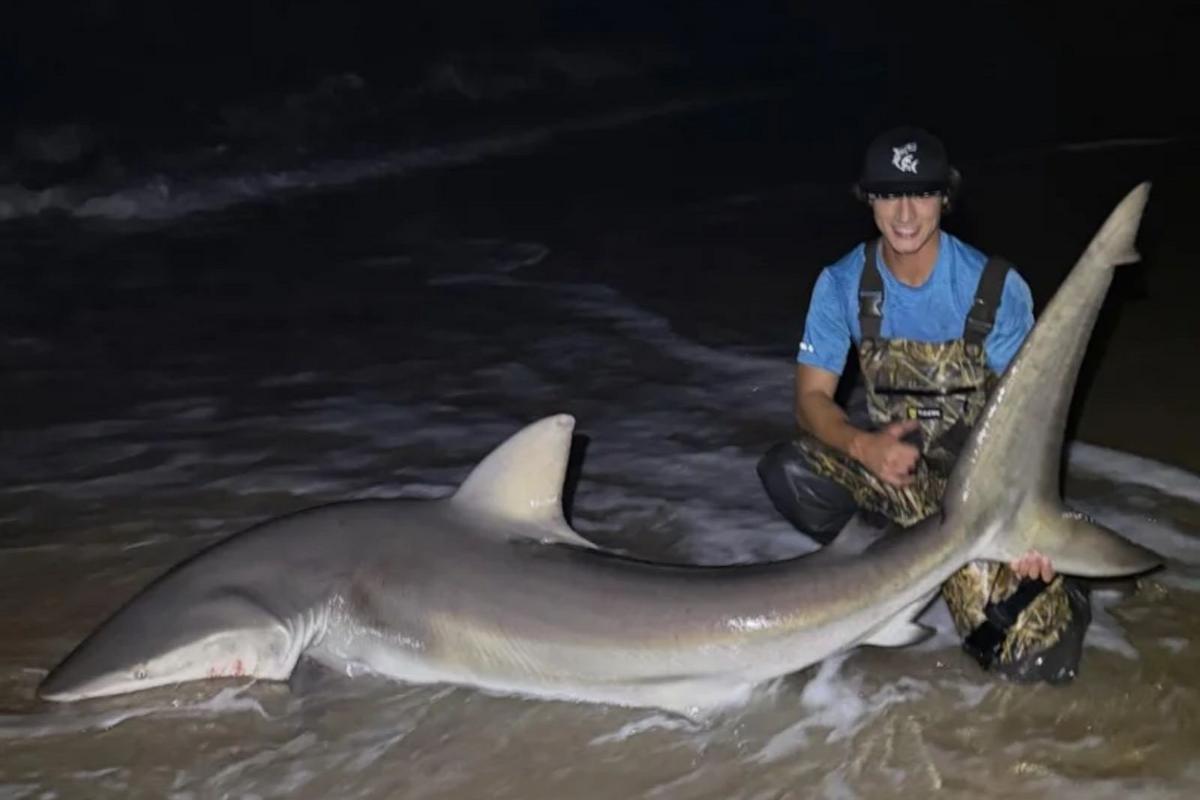 Bay Head cracks down on shark fishing drones