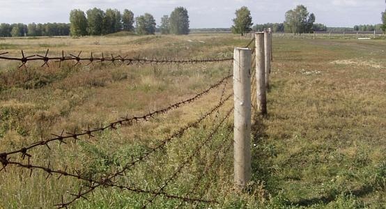 Border Service of Kazakhstan prevents 1,808 cases of illegal fuel transportation across border in July