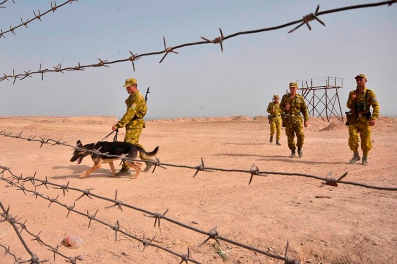 CSTO to Begin Deliveries of Weapons and Equipment in Autumn to Strengthen Tajik-Afghan Border