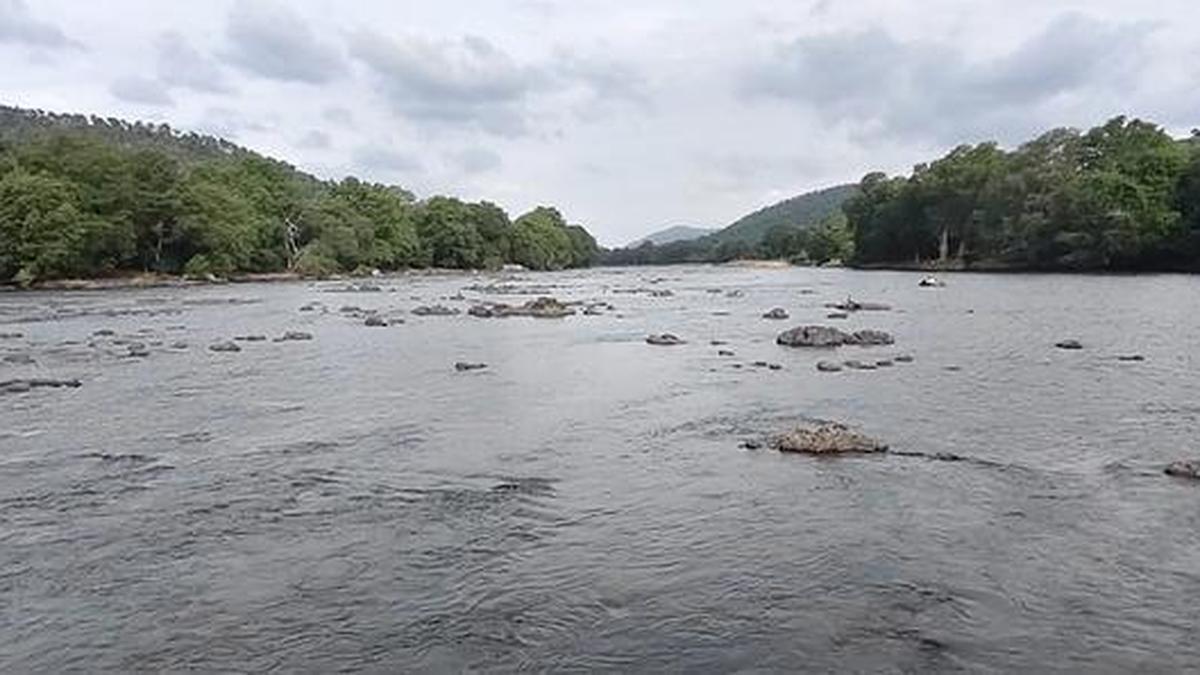 Cauvery water: CWMA endorses CWRC’s direction to Karnataka to release 12,000 cusecs a day to Tamil Nadu