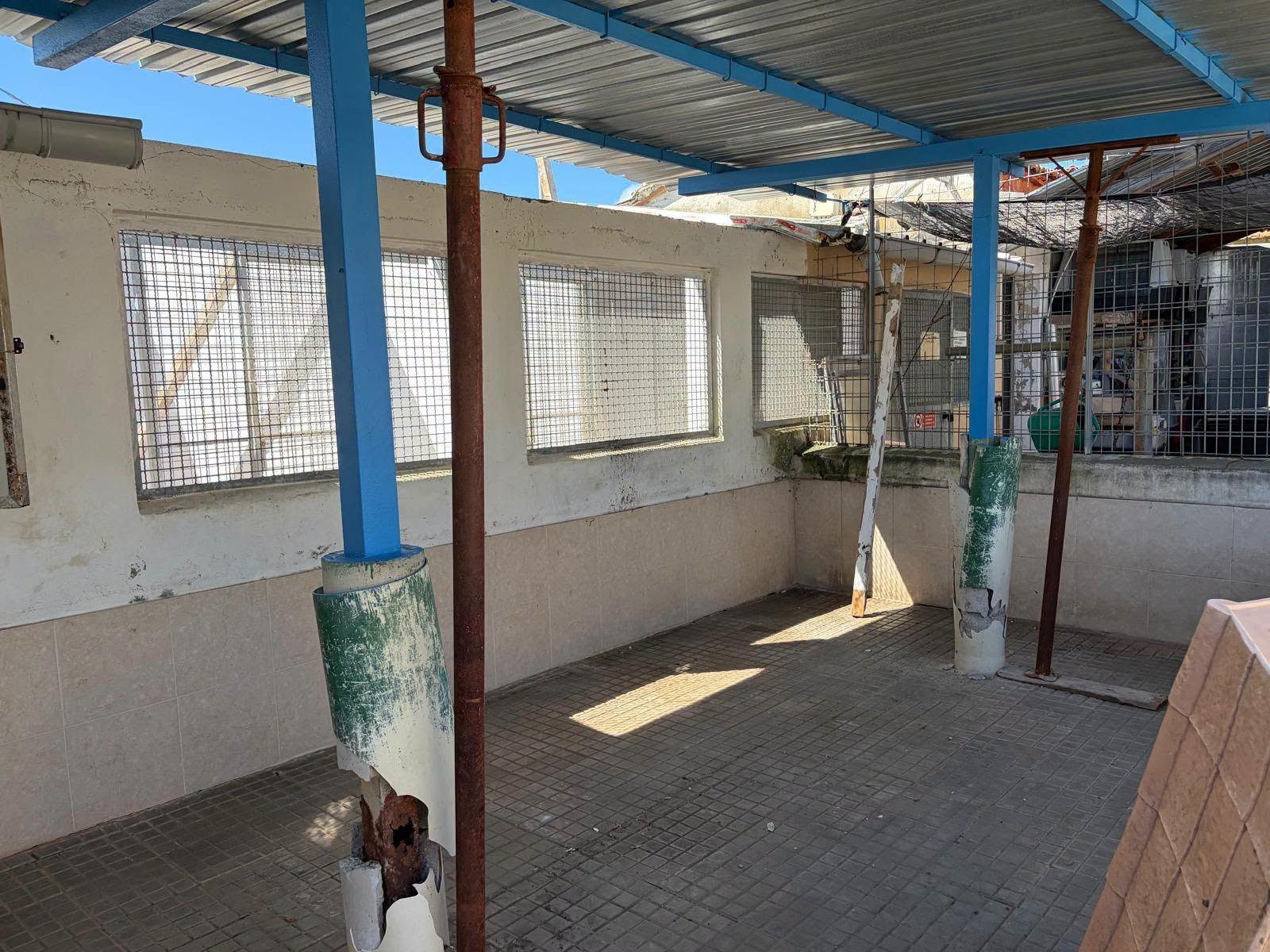 Child donates savings to storm-hit Pistoia dog shelter