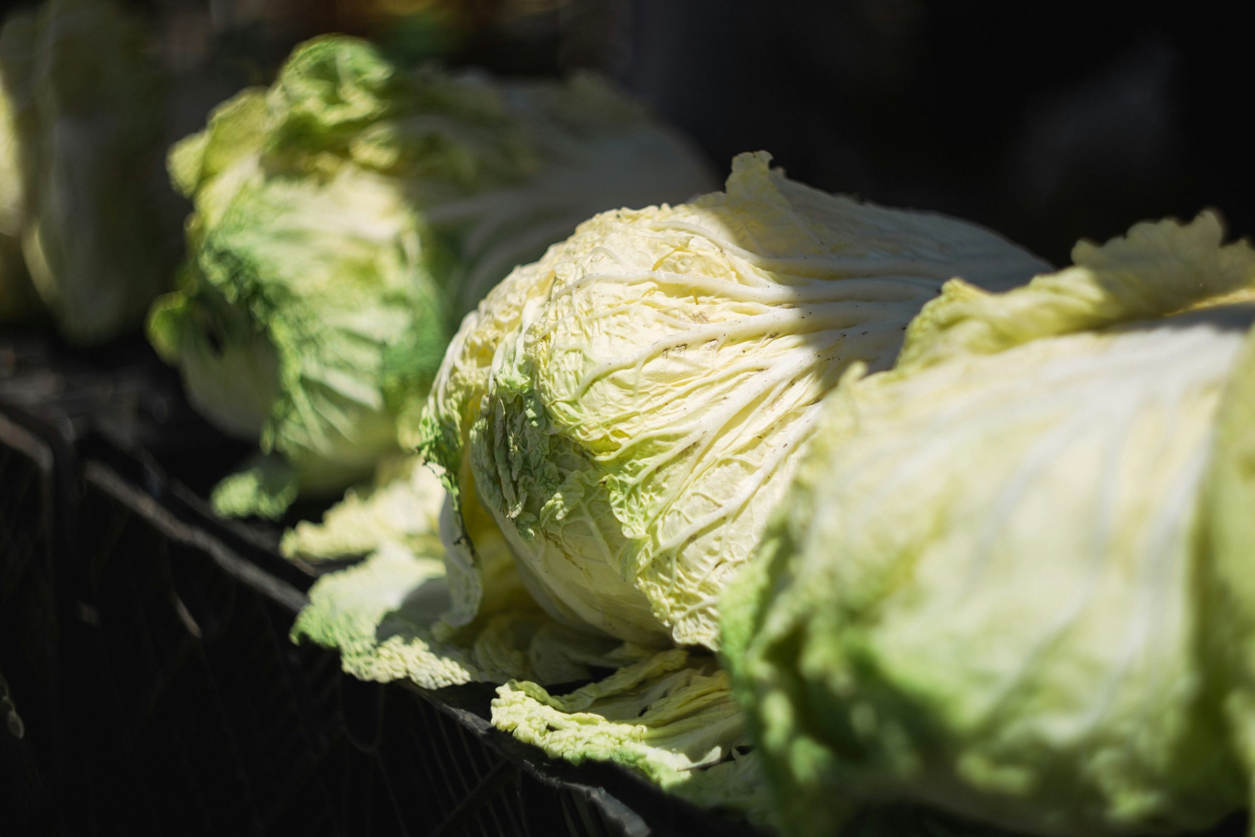 China probes use of formaldehyde in cabbage preservation