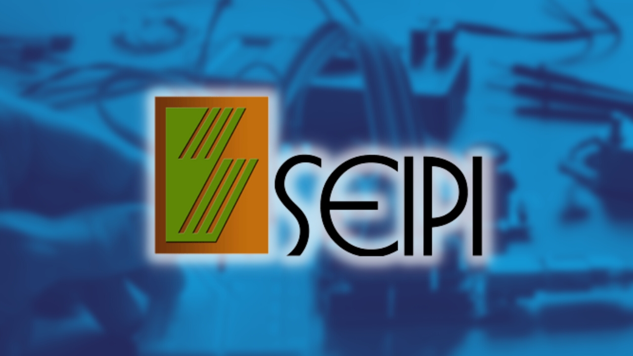 Seipi sees ‘modest’ earnings growth from semiconductor exports