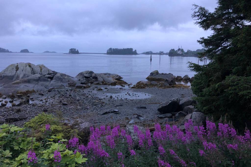 U.S. Coast Guard Sector Southeast Alaska personnel recently terminated the voyage of a commercial passenger vessel operating in Sitka. (Courtesy Photo / William Harrold)