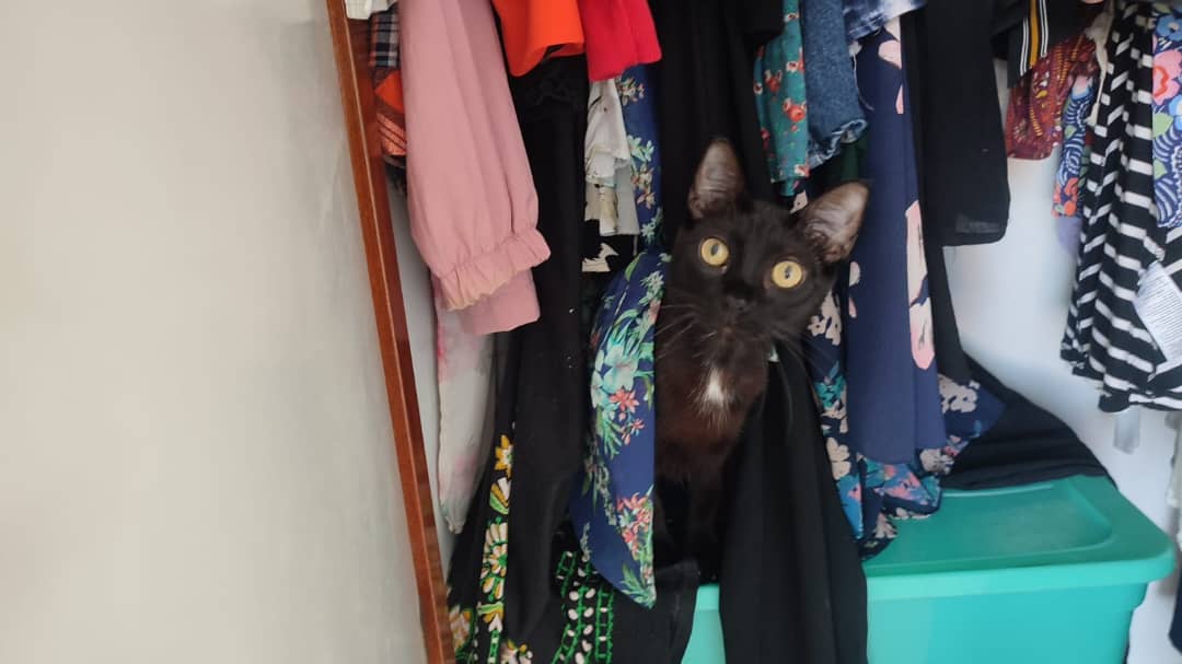 Coming Out of the Closet, Panama City - Photo of the Day