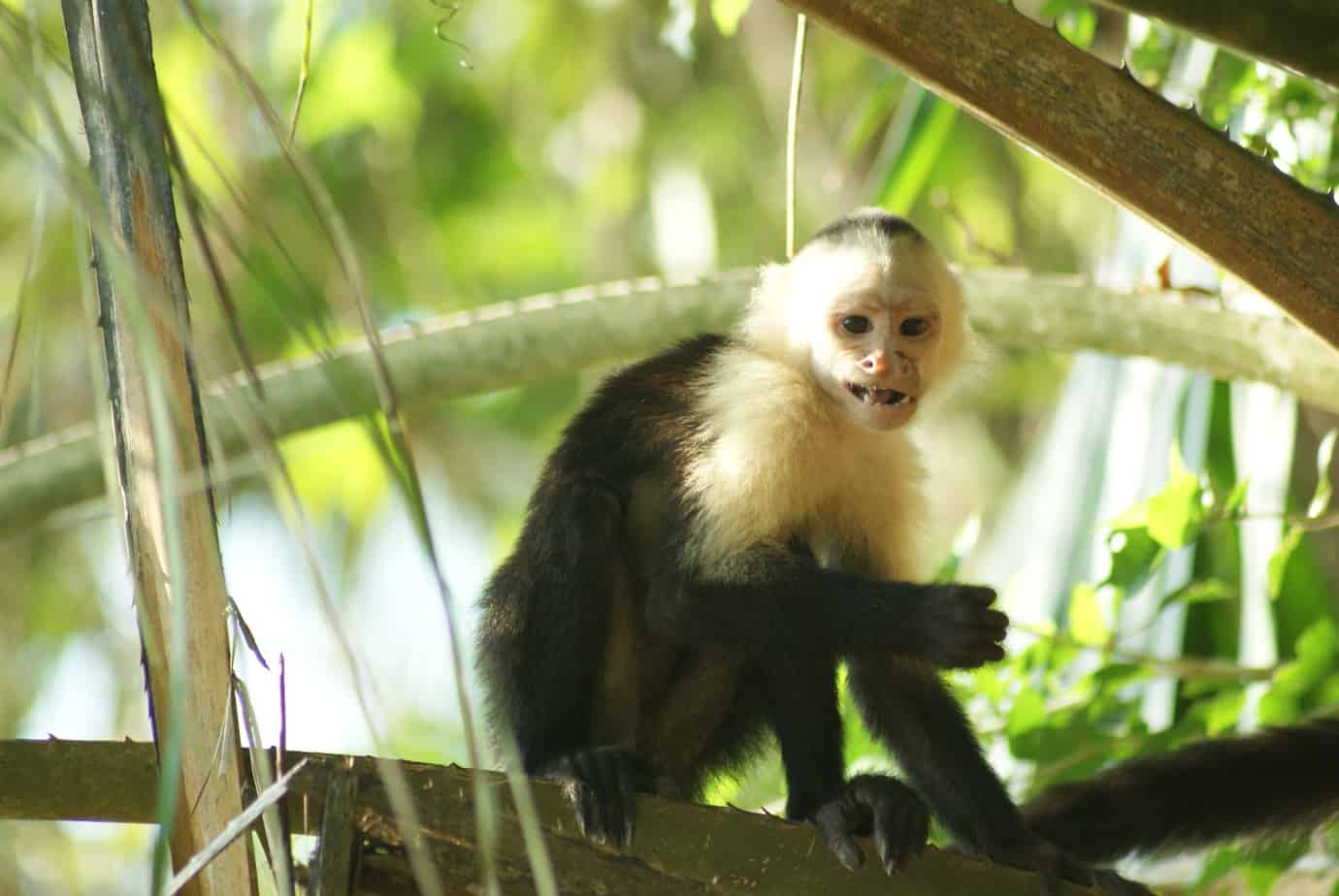 Costa Rica Travel