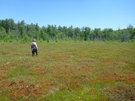 Deal Struck on Vermont Wetlands Regulation Reform