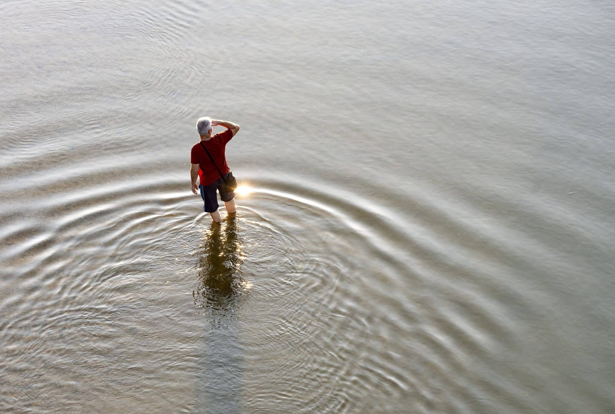 Democracy Digest: Danube Falls to Lowest Levels in 30 Years