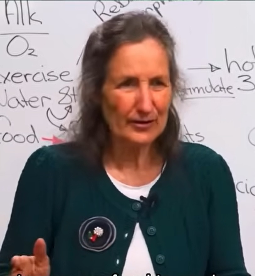 Egypt bans Australian alternative health figure Barbara O'Neill over false claims