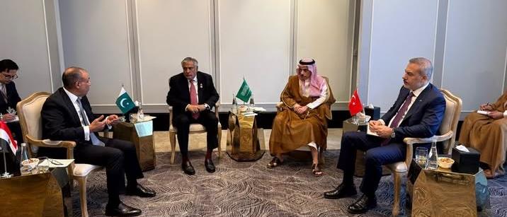 Egypt's FM participates in 5th R-4 group meeting