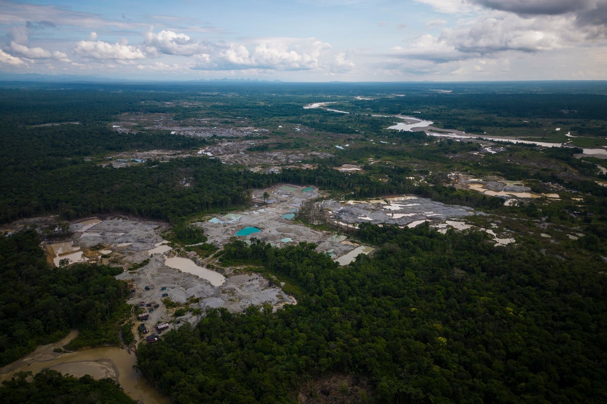 Five Amazon countries arrest hundreds in major crackdown on environmental crime