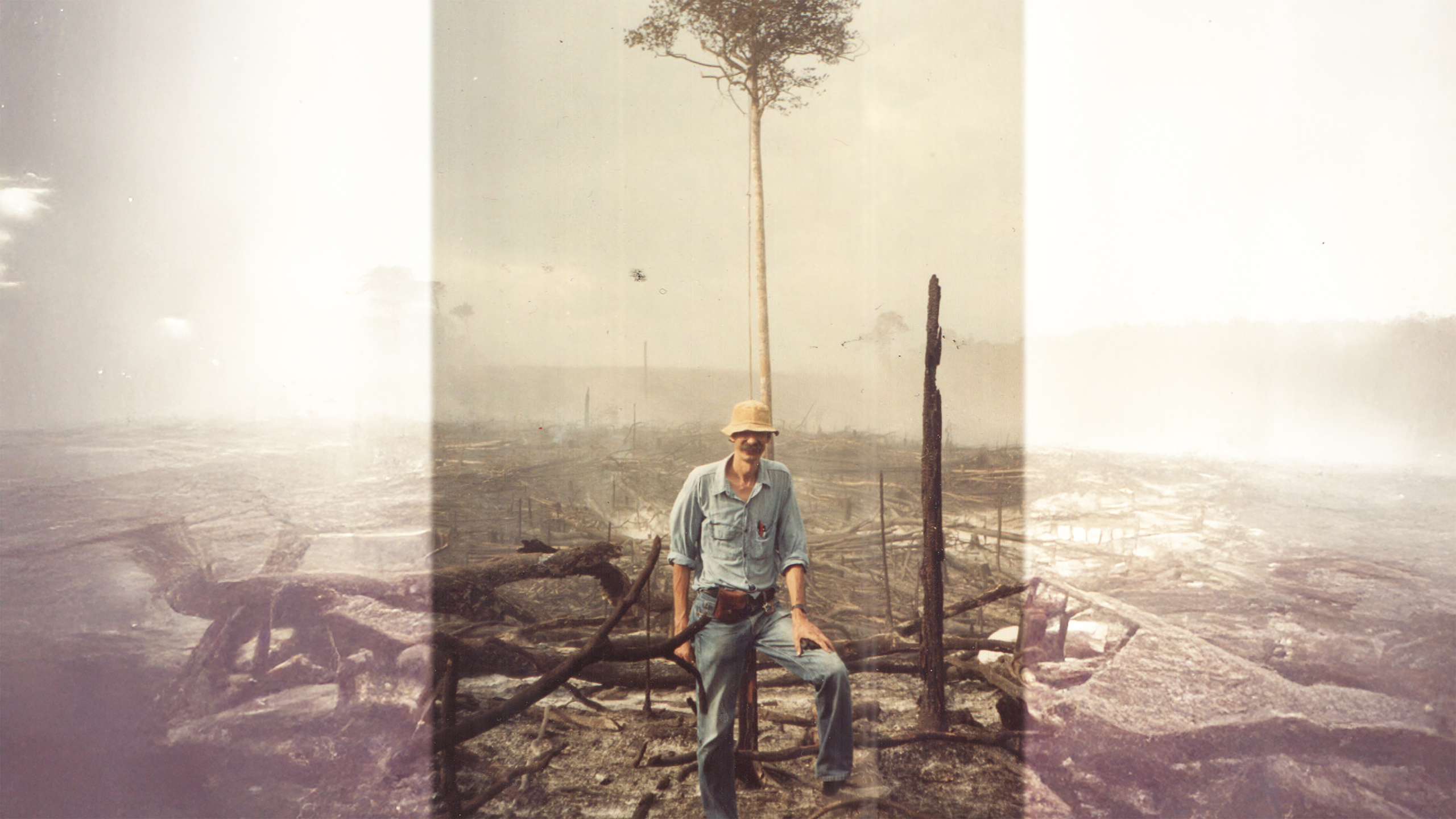 For 50 years, Philip Fearnside has calculated the costs of losing the Amazon