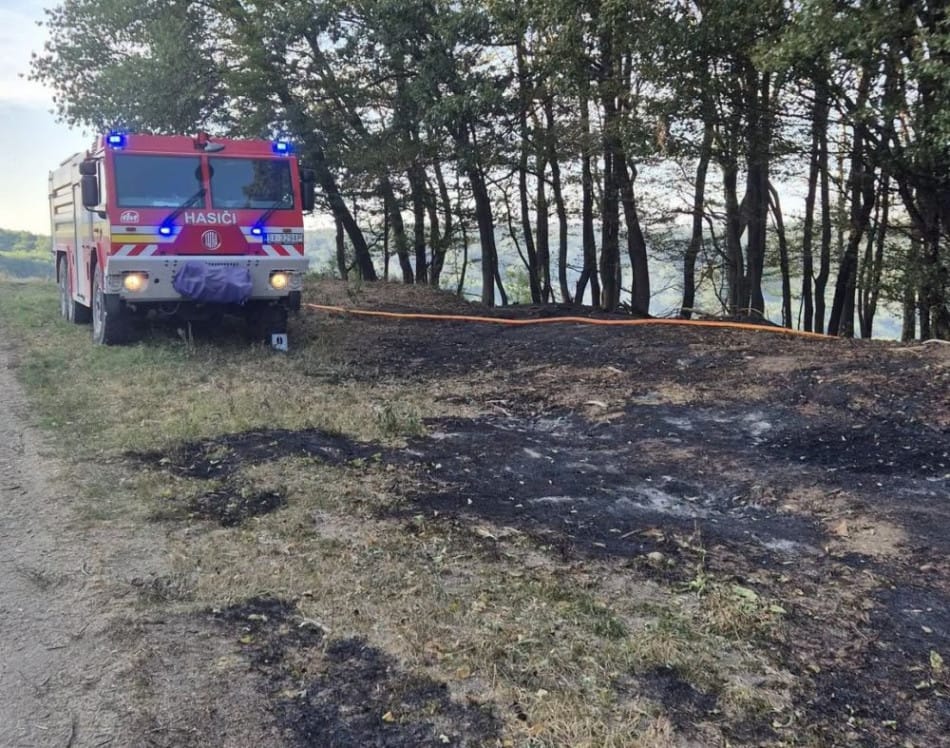 Forest Fire in Western Slovakia Spreads Across up to 150 Hectares