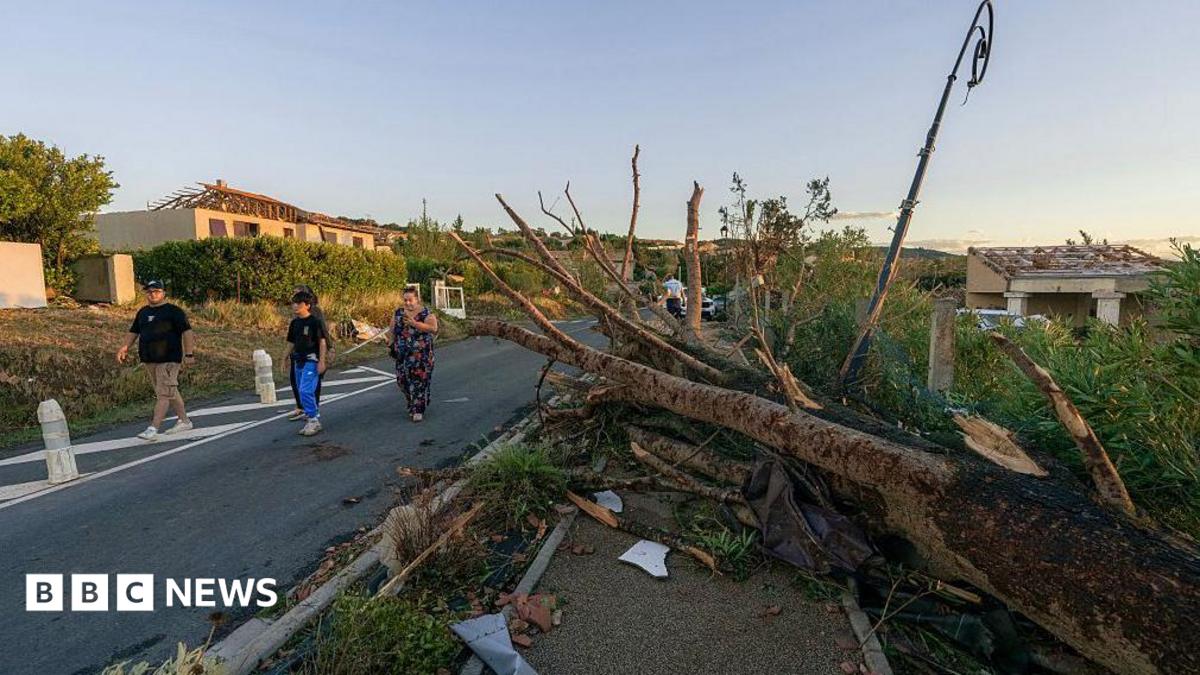 Pedestrians walk past a toppled tree after a tornado struck Pomas, southwestern France on August 24, 2026.