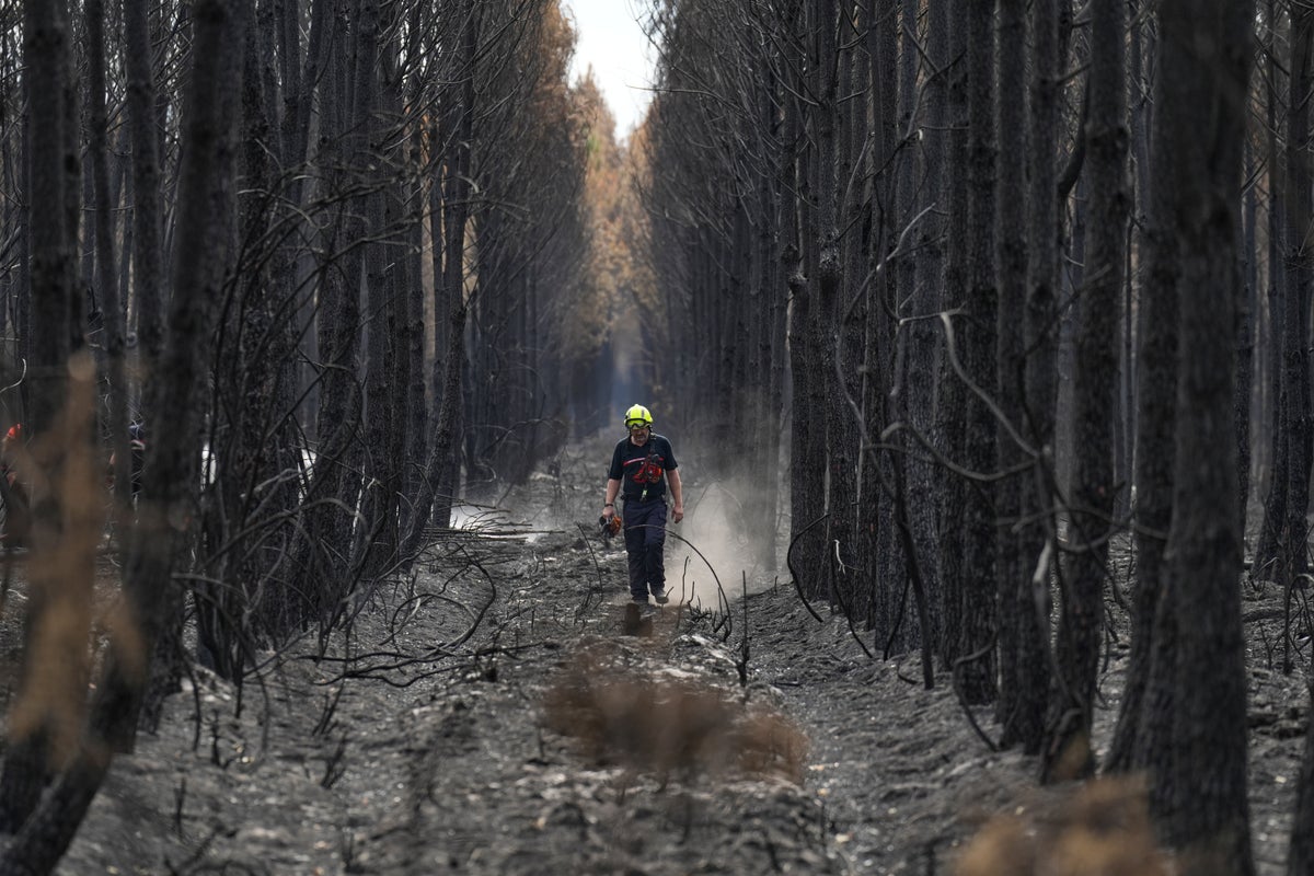 French wildfire near Bordeaux contained as 1,500 firefighters battle separate blaze in Provence