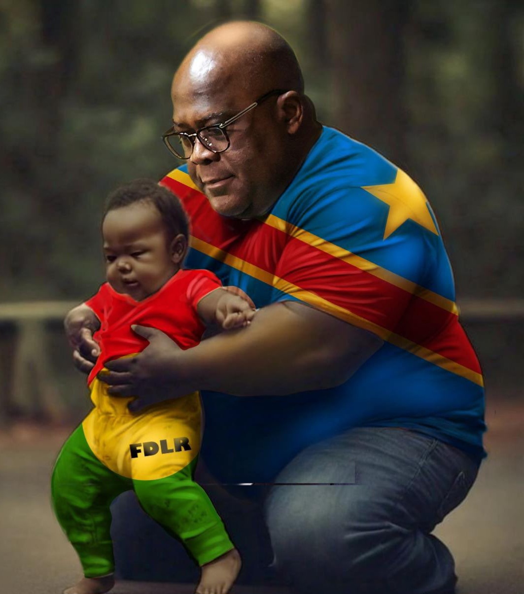 From Neutralization to Advocacy: Is Tshisekedi Risking the Political Sanitization of the FDLR?