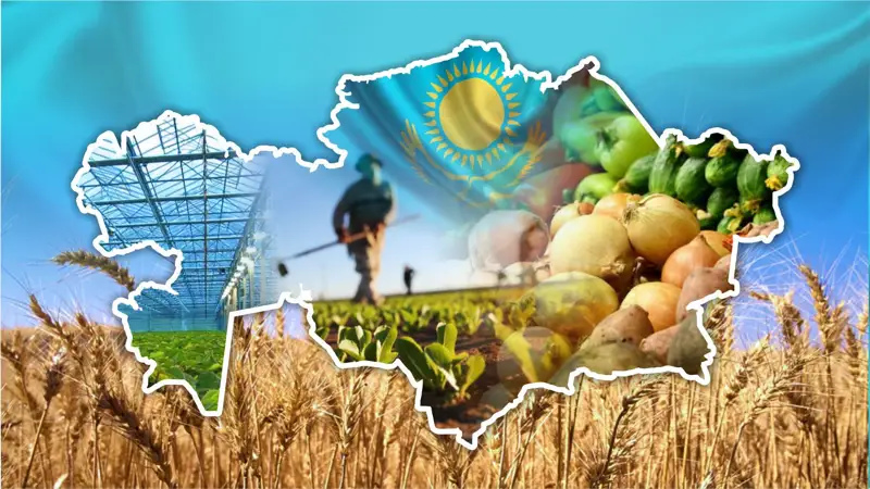 From grain exporter to agri-food hub: Kazakhstan's role in global food security