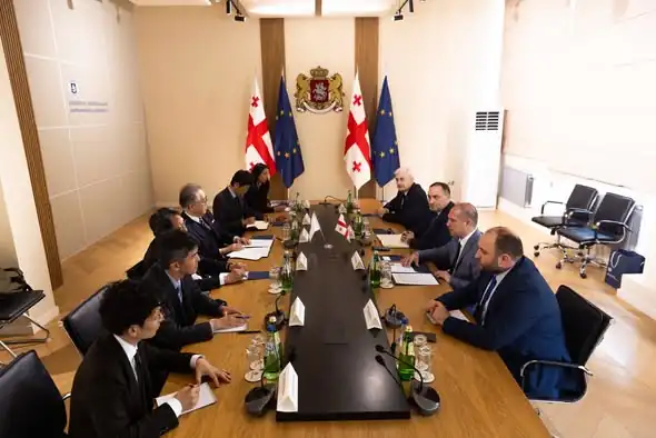 Georgia, Japan strengthen Education Ties