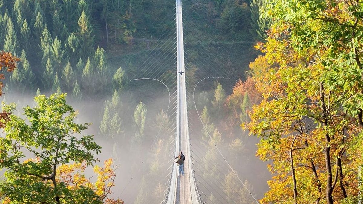 Germany’s best viewpoints from above: Scenic walks, mountain peaks and sky-high bridges